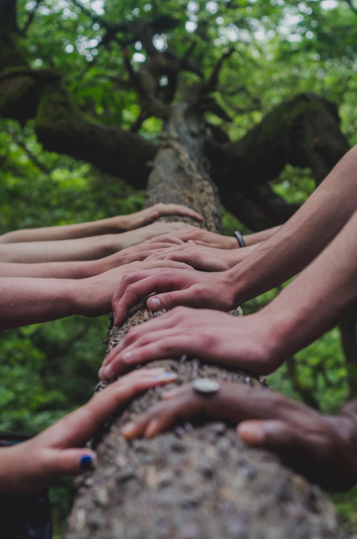 Image depicting a group of diverse people holding hands symbolizing cultural diversity and multiple interpretations of biblical violence.